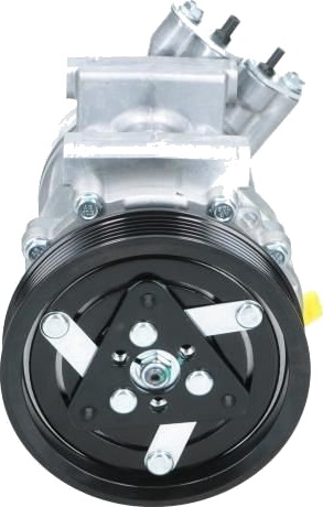 BV PSH 090.165.017.876 AC-kompressor BV PSH 090.165.017.876 AC-kompressor