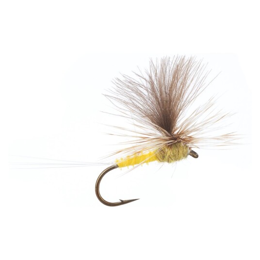 Arcticflies Tørrflue Biot Dun Aurivillii