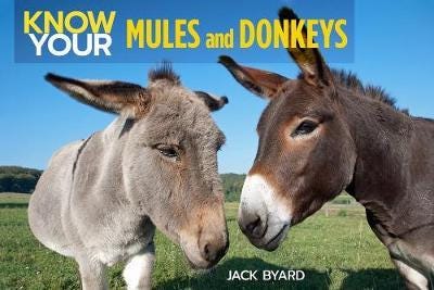 Know Your Donkeys & Mules Av Jack Byard