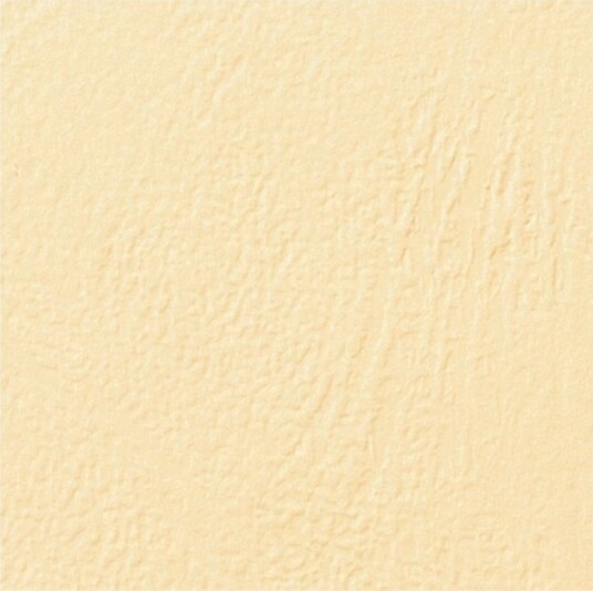Gbc Gbc Leathergrain A4 210 X 297 Mm Elfenben 250 G/M² 100 Stk Permomslag