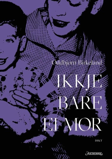 Ikkje Bare Ei Mor Av Oddbjørn Birkeland