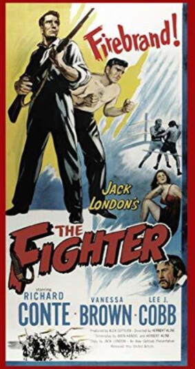 Fighter DVD