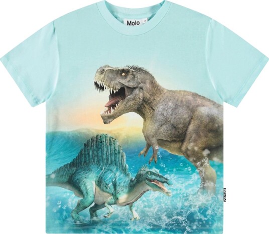 Molo T skjorte   Rosa   Dino Splash   Molo   14 år (164)   T skjorte   Turkis