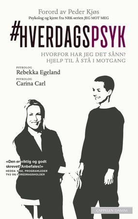 Hverdagspsyk: Hvorfor har jeg det sånn? Hjelp til å stå i motgang, Veldig pen bok / som ny