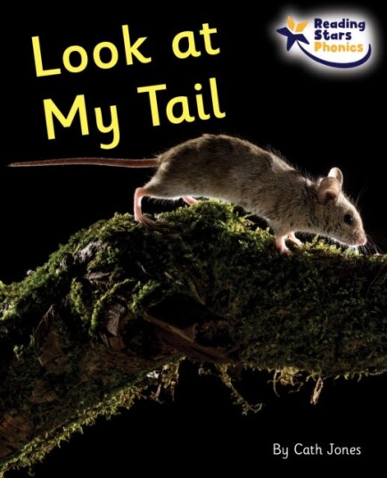 Look at My Tail Phase 5 Look at My Tail Phase 5