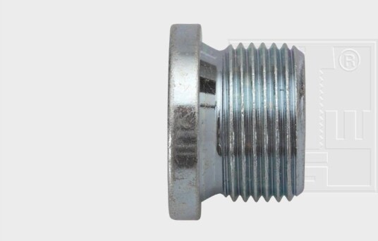 Påfyllingsplugg, bunnpanne SWGAutomotive 24310600180