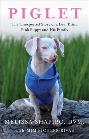 Piglet Av Melissa Dvm Shapiro, Mim Eichler Rivas