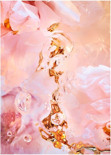 Paper Collective Flora Aquatica 02 poster 70x100 cm Paper Collective Flora Aquatica 02 poster 70x100 cm
