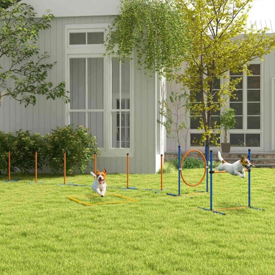 Dog Agility sett med justerbare hekker