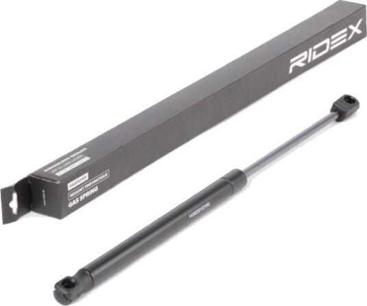 RIDEX 219G0887 Baklukedemper RIDEX 219G0887 Baklukedemper