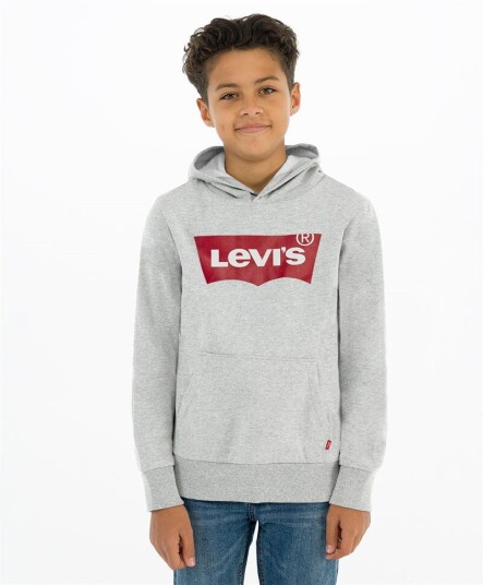 Levi'S Batwing Hoodie Jr Grå 14år