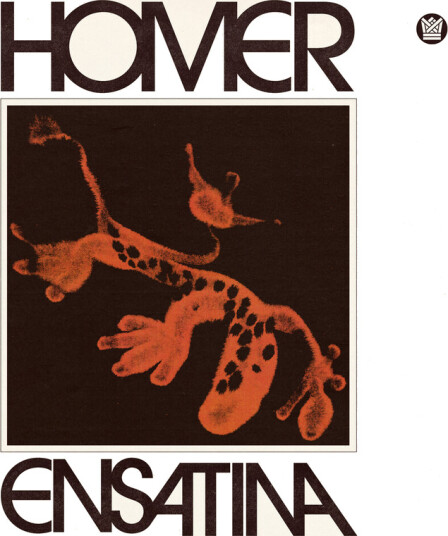 Homer Ensatina CD