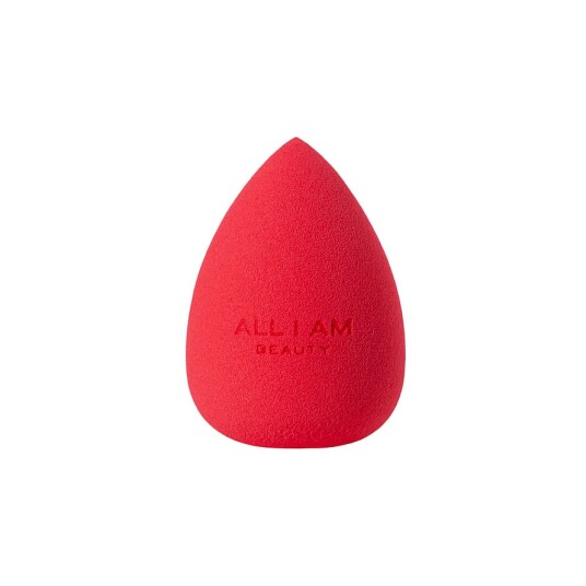 Blending Sponge Blending Sponge