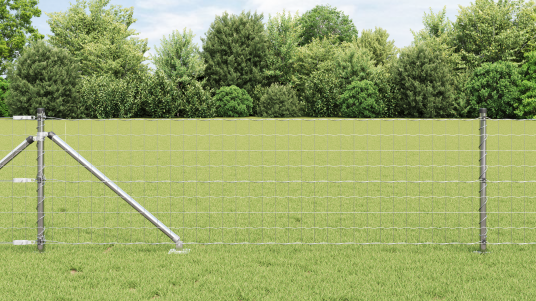 Euro Innhegning med 13 Spiker Innlegg 0.4x50 m Galvanisert Stål