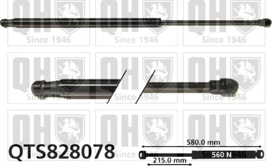 QUINTON HAZELL QTS828078 Baklukedemper