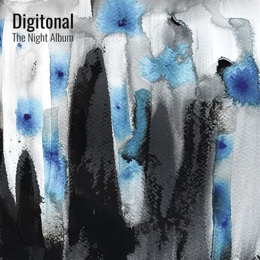 Night Album Vinyl