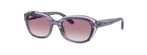 Ray-Ban Junior RJ9081S 71748G 4817 Ray-Ban Junior RJ9081S 71748G 4817