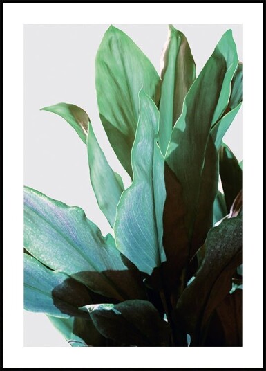 Green Leaves Plakat Plakat / 100x150cm