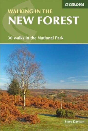 Walking In The New Forest Av Steve Davison