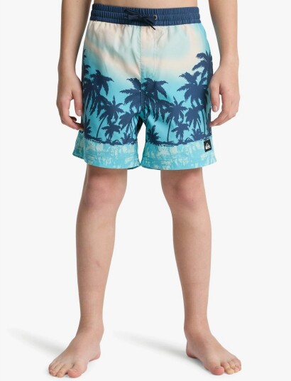 Quiksilver Everyday Printed Volley Yth 14   Blue   176