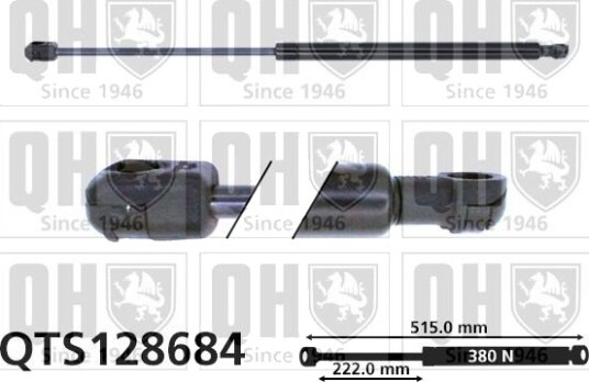 QUINTON HAZELL QTS128684 Baklukedemper