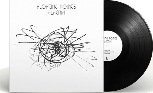 Elaenia