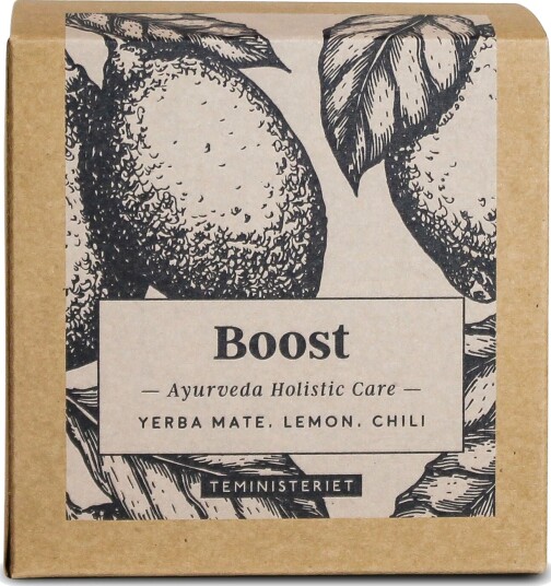 Teministeriet Ayurveda Boost   Boks Te