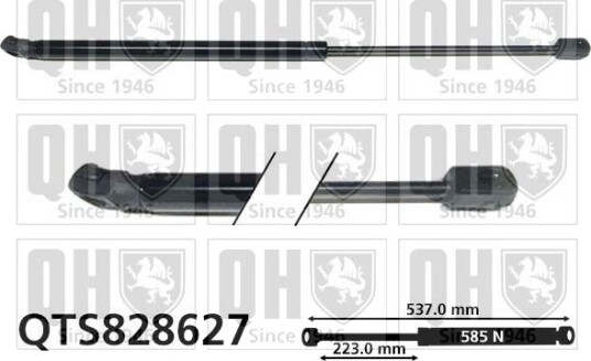 QUINTON HAZELL QTS828627 Baklukedemper