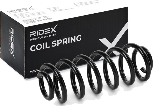 RIDEX 188C1497 Fjær
