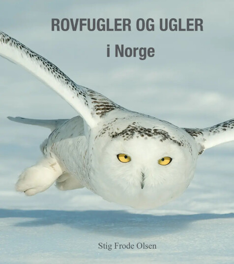 Rovfugler og ugler i Norge Rovfugler og ugler i Norge