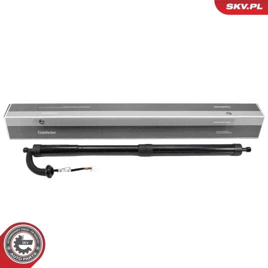 Elektromotor bakluke ESEN SKV 52SKV295
