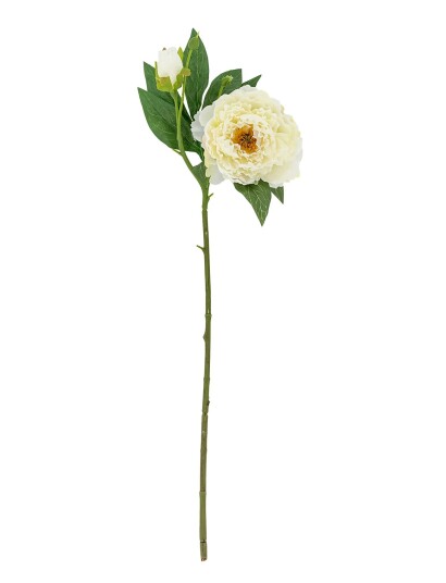 Bloomingville Peony Stem White H62CM Bloomingville Peony Stem White H62CM