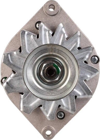 Dynamo WALKER WAL02584