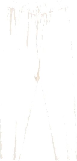 Semicouture, Dame, Bukser, Hvit, S,