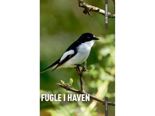 Danmarks Natur Fugle I Haven | Axel Kielland Benny Génsbøl | Språk: Dansk