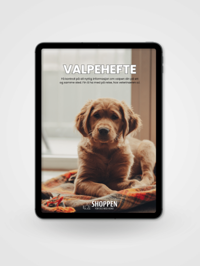 Shoppen Valpehefte Med Viktig Informasjon Digitalt Produkt