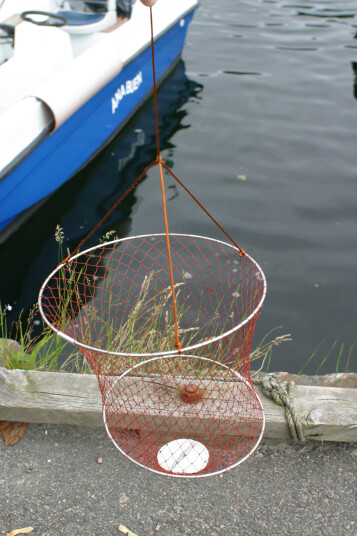 CAL Fangstnett Småfisk og krabber Barn