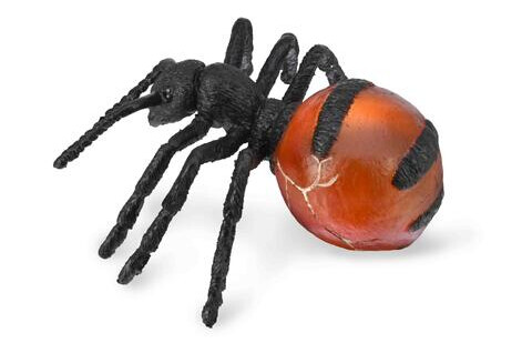 Collecta Ant