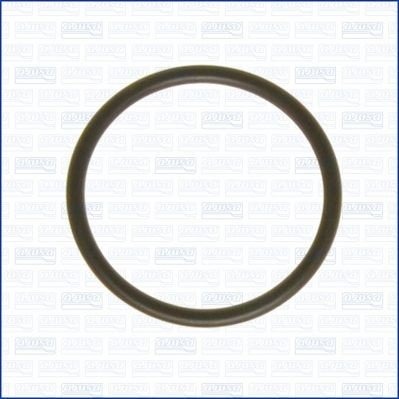Tetning, innsugningsmanifold AJUSA 16049500