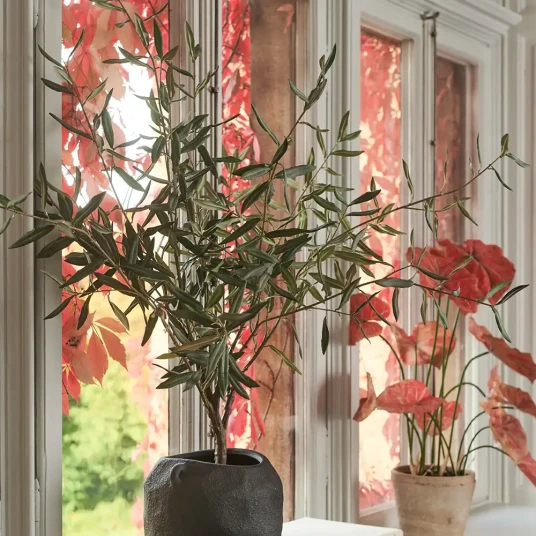Mr Plant Oliventre 130 cm Mr Plant Oliventre 130 cm