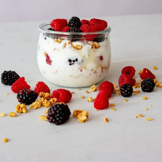 Yoghurt bakteriekultur til hjemmelaget yoghurt Yoghurt bakteriekultur til hjemmelaget yoghurt