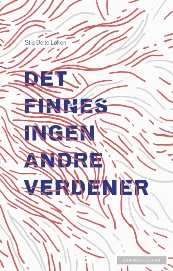 Det Finnes Ingen Andre Verdener Av Stig Beite Løken Det Finnes Ingen Andre Verdener Av Stig Beite Løken