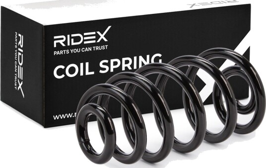 RIDEX 188C0210 Fjær RIDEX 188C0210 Fjær