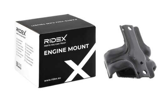 Motorfeste RIDEX 247E0607