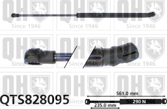 QUINTON HAZELL QTS828095 Baklukedemper