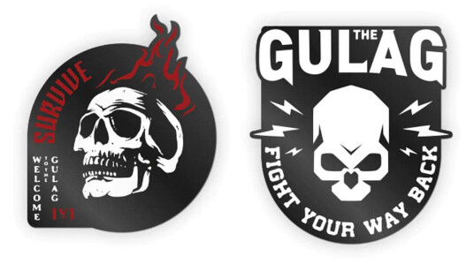 Call of Duty Warzone Pin Edition 3