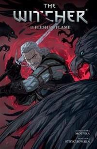 The Witcher Volume 4 Av Aleksandra Motyka