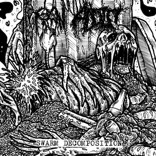 Raw Addict Swarm Decomposition CD