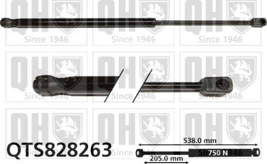 QUINTON HAZELL QTS828263 Baklukedemper