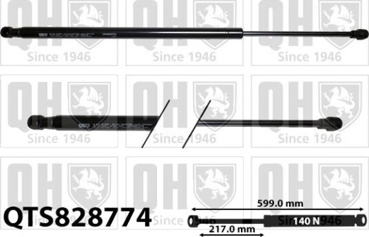 QUINTON HAZELL QTS828774 Baklukedemper